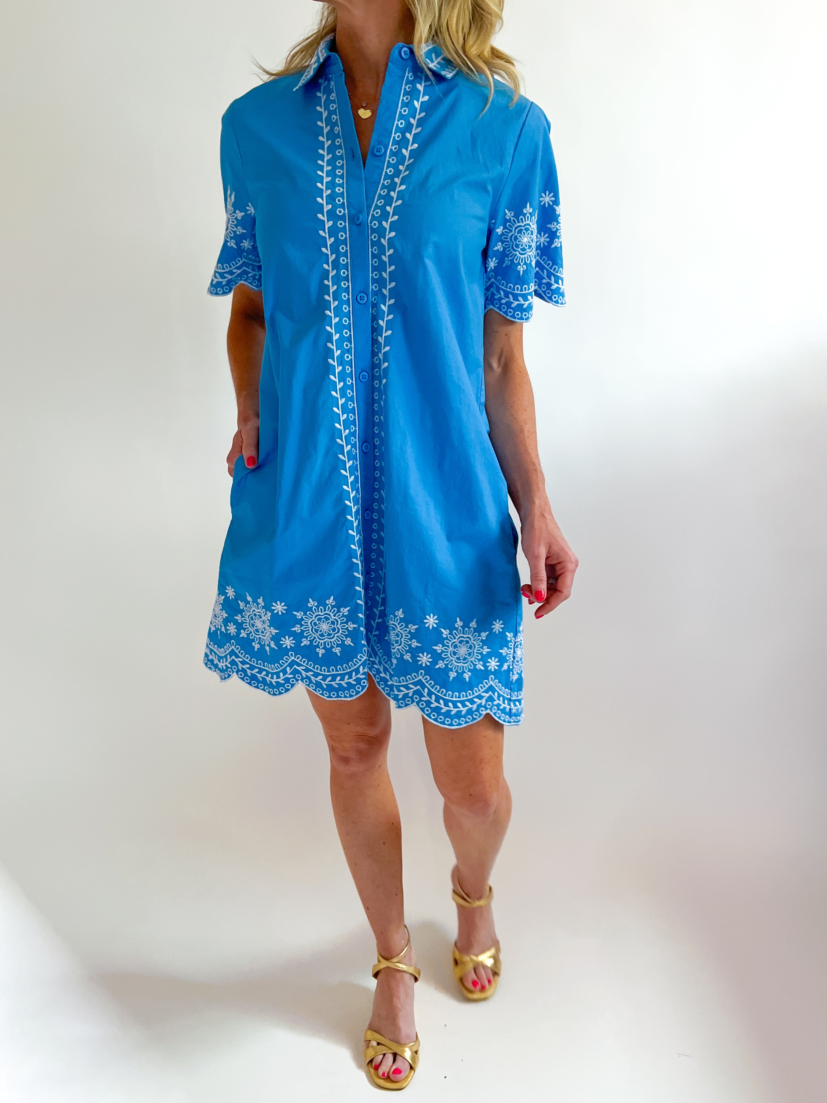 and shirt dress French Connection Alissa Embroidered Mini Shirt Dress