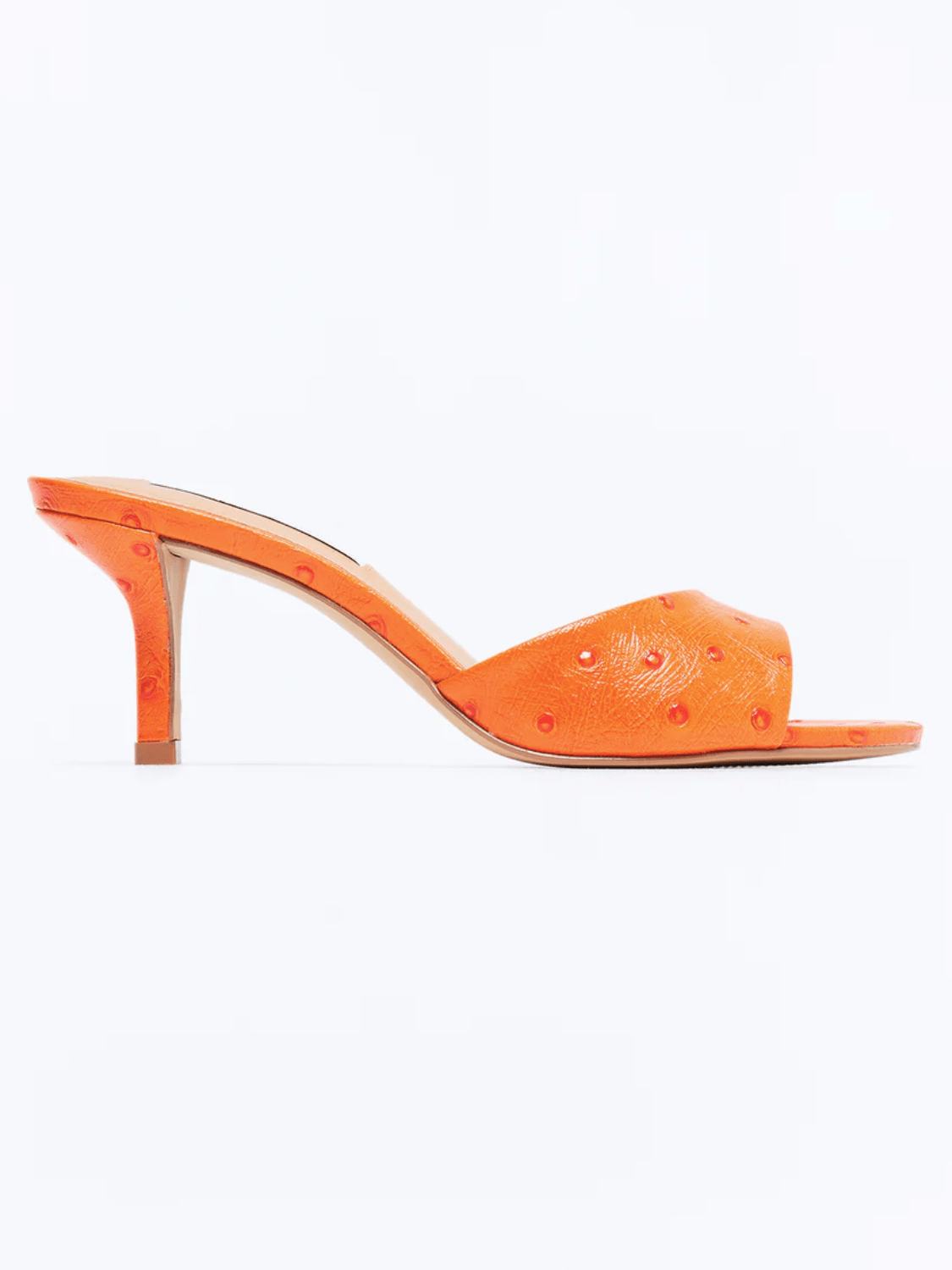 Kendrix Stiletto Mule Heel by Steve Madden in orange with rounded toe
